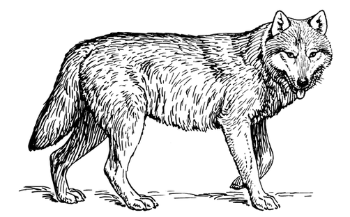 24.png