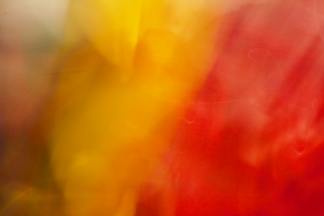 GarArt0218_6582