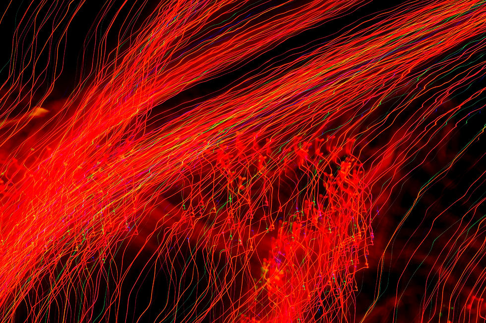 Gar80D1218_2448