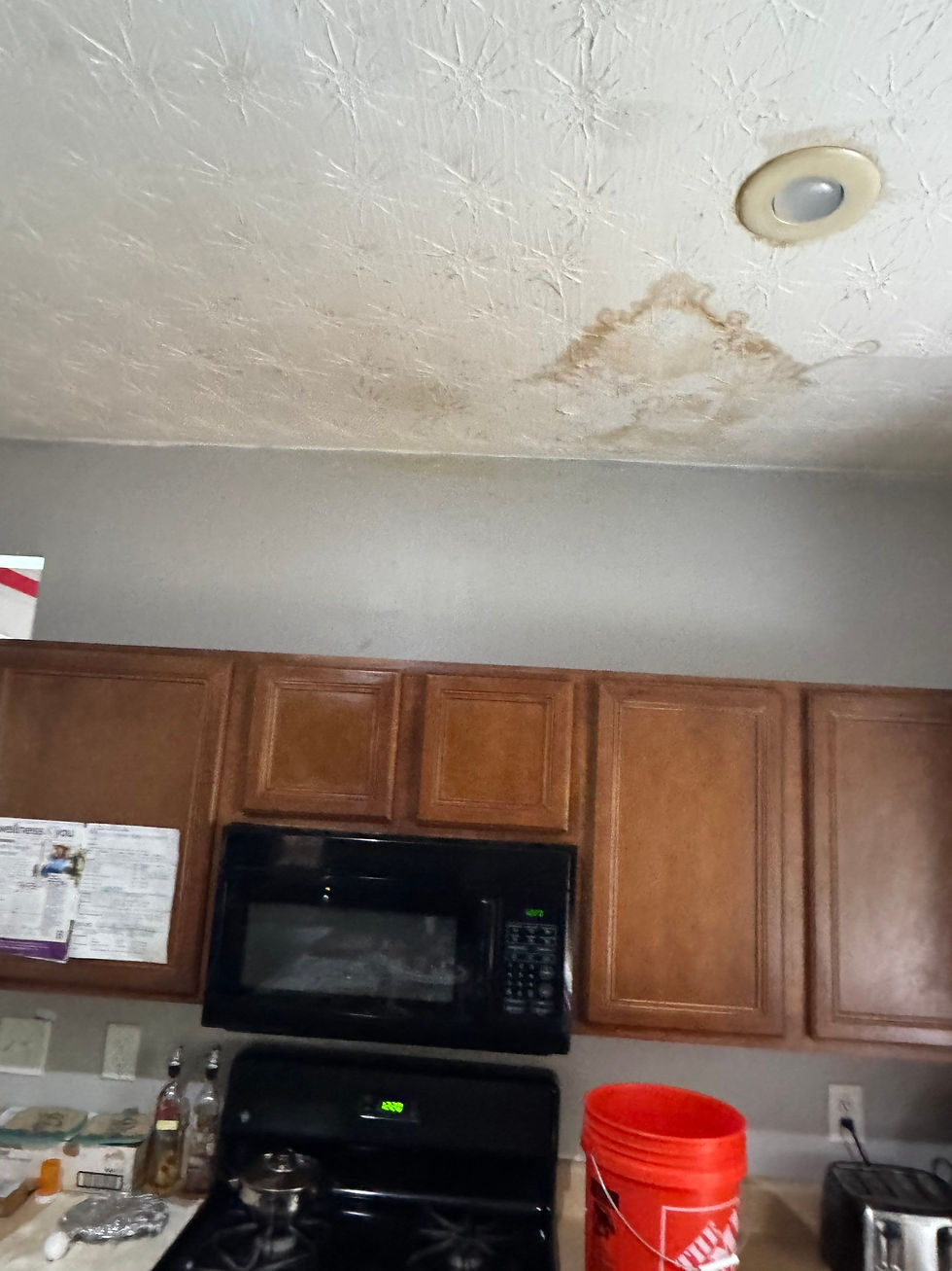 Water Damage- Visual Evidence