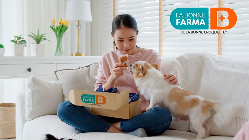 envio a domicilio de medicamentos para mascotas