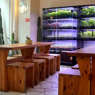 Top Foodservice Equipment Trends for 2026: Innovations Redefining Modern Kitchens