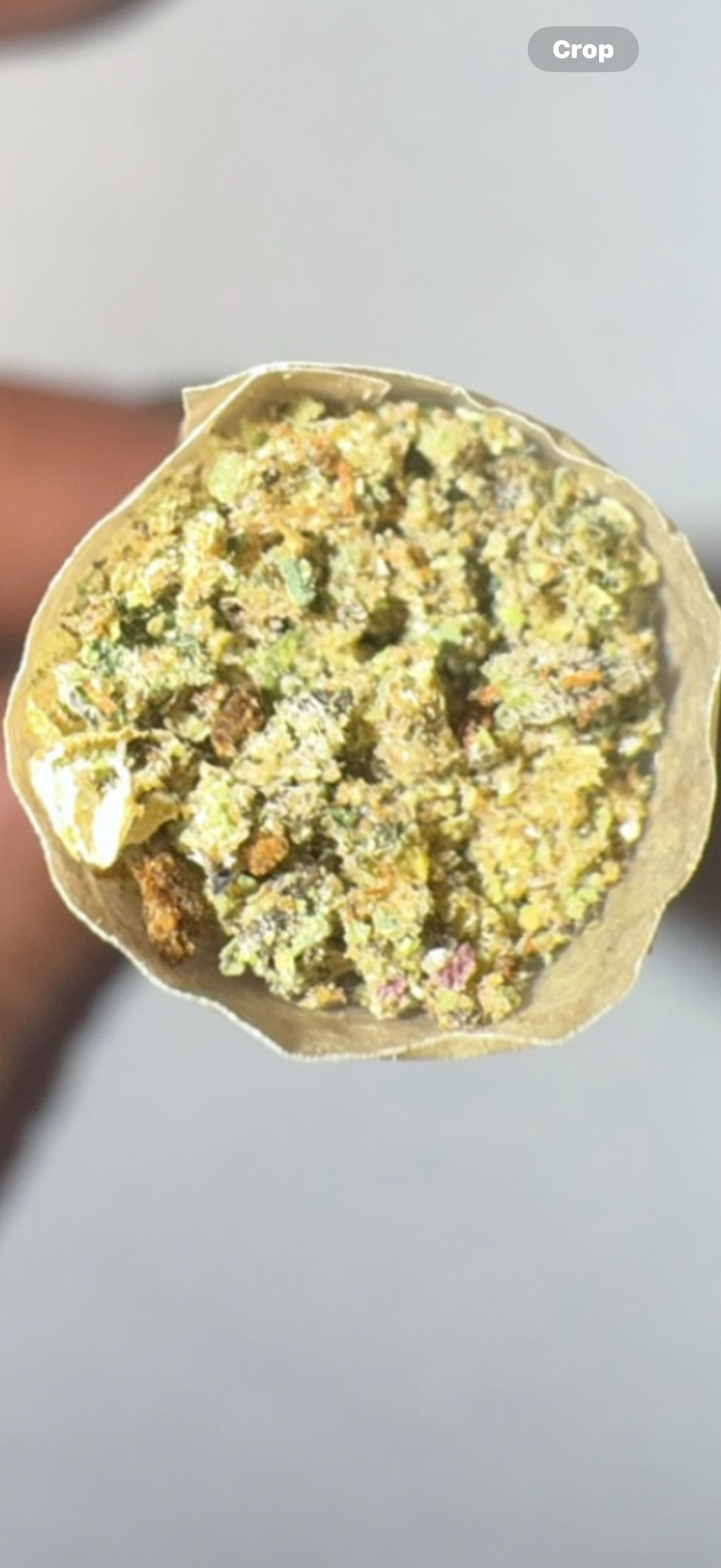 Hash Infused Pre-Roll 1.5g (THC 31-36%)- INDCA