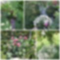 Giardino 1.jpeg