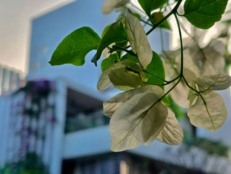 How to Identify and Release Subconscious Patterns Holding You Back