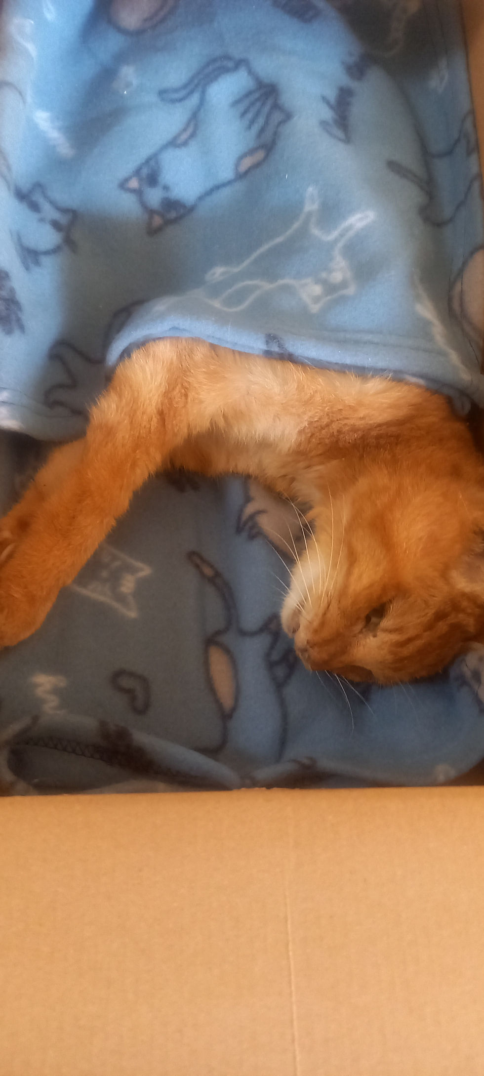 悲しいことが続いて！