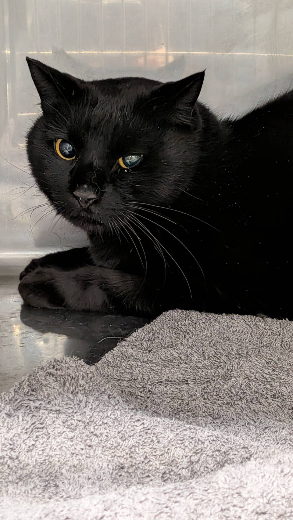 春がやって来ました!