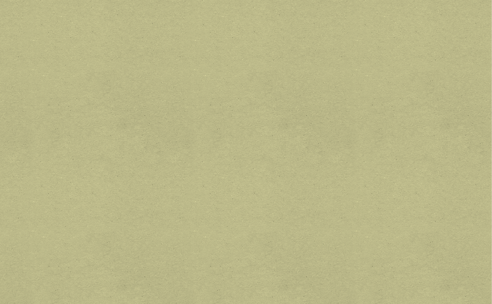 Rectangle 181.png