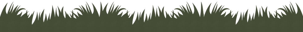 Frame 7 (2).png