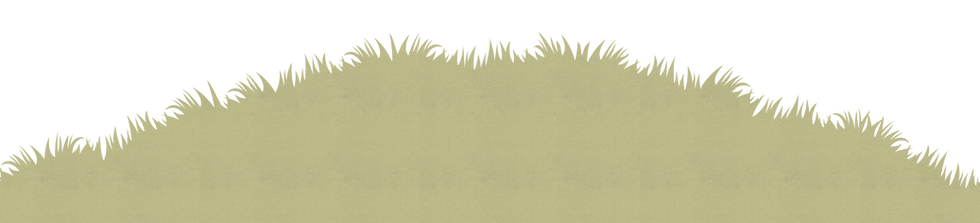 Frame 9.png
