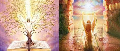 Recibiendo consejos desde el Cielo-Lectura de Registros Akashikos