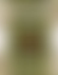 Creando las semillas del 2018