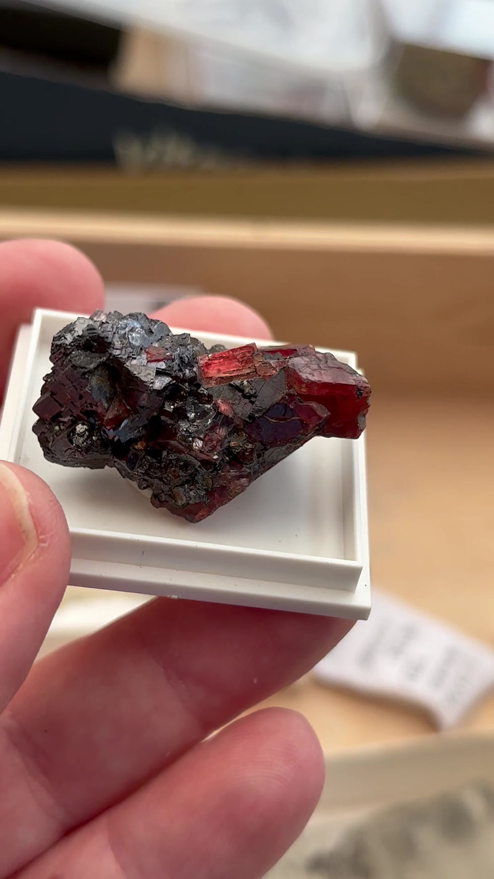 Miniaturbild: Rhodonite and Galena -Broken Hill Australia