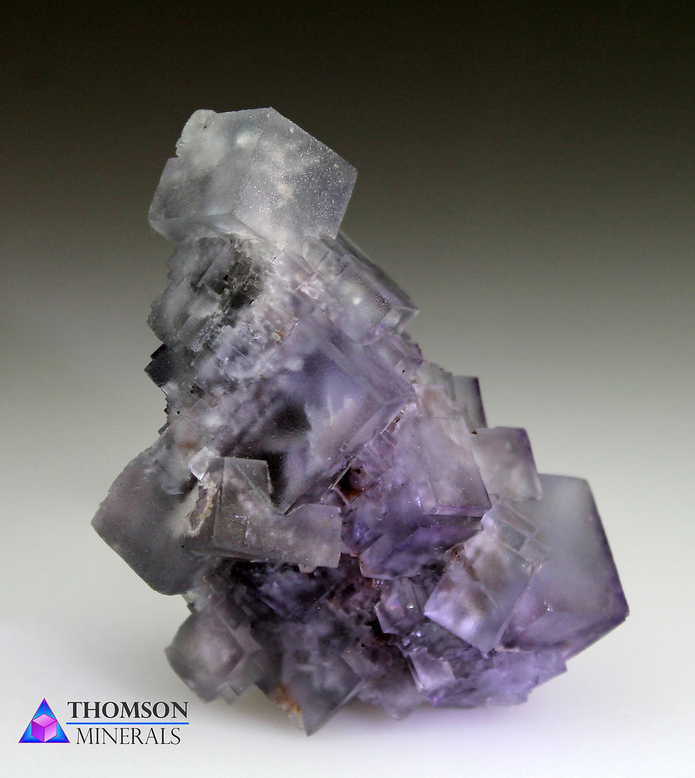 サムネイル： Fluorite : Greenlaws Mine, Weardale, Co. Durham