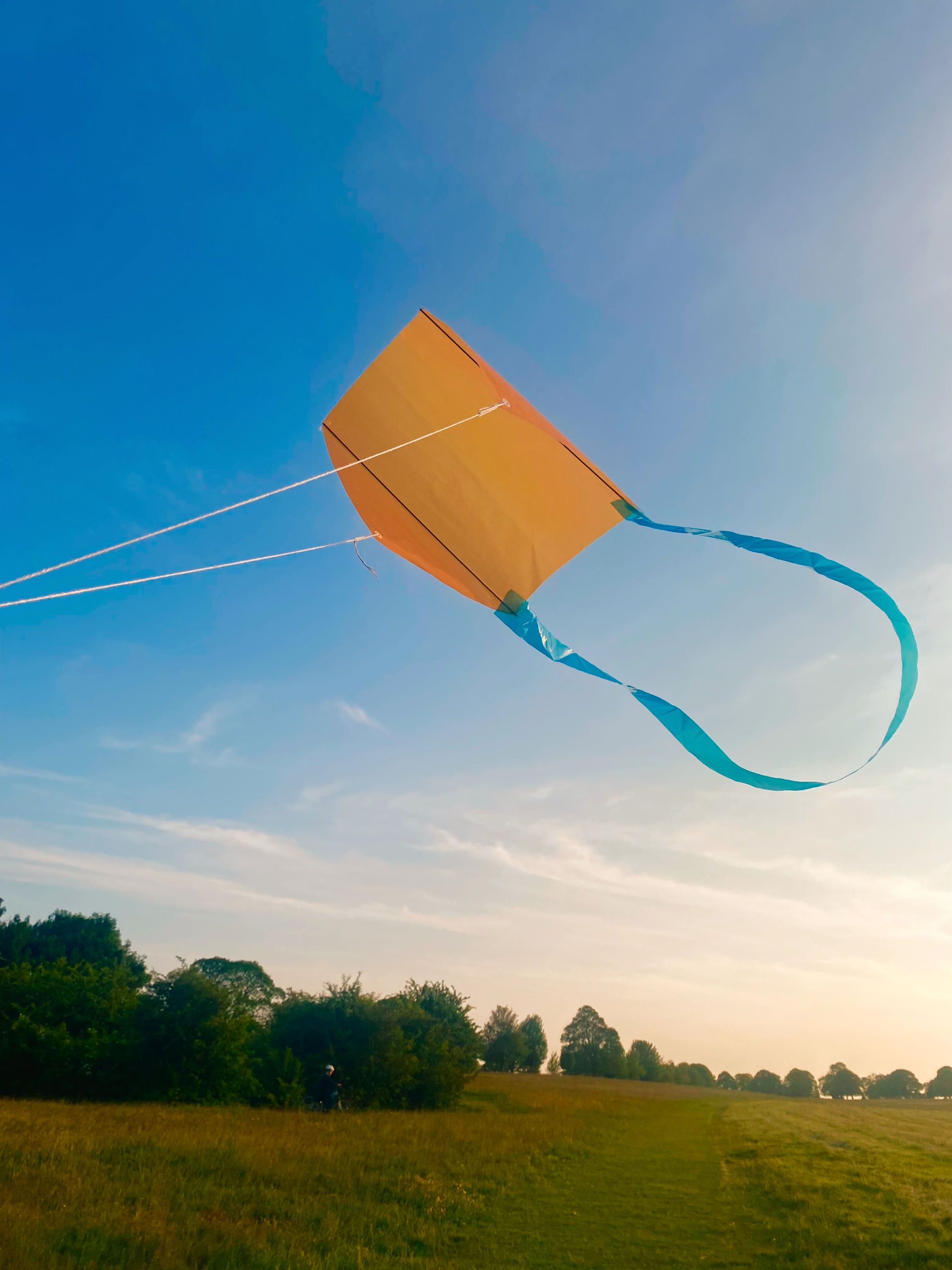 Coloured sled (10 pack)