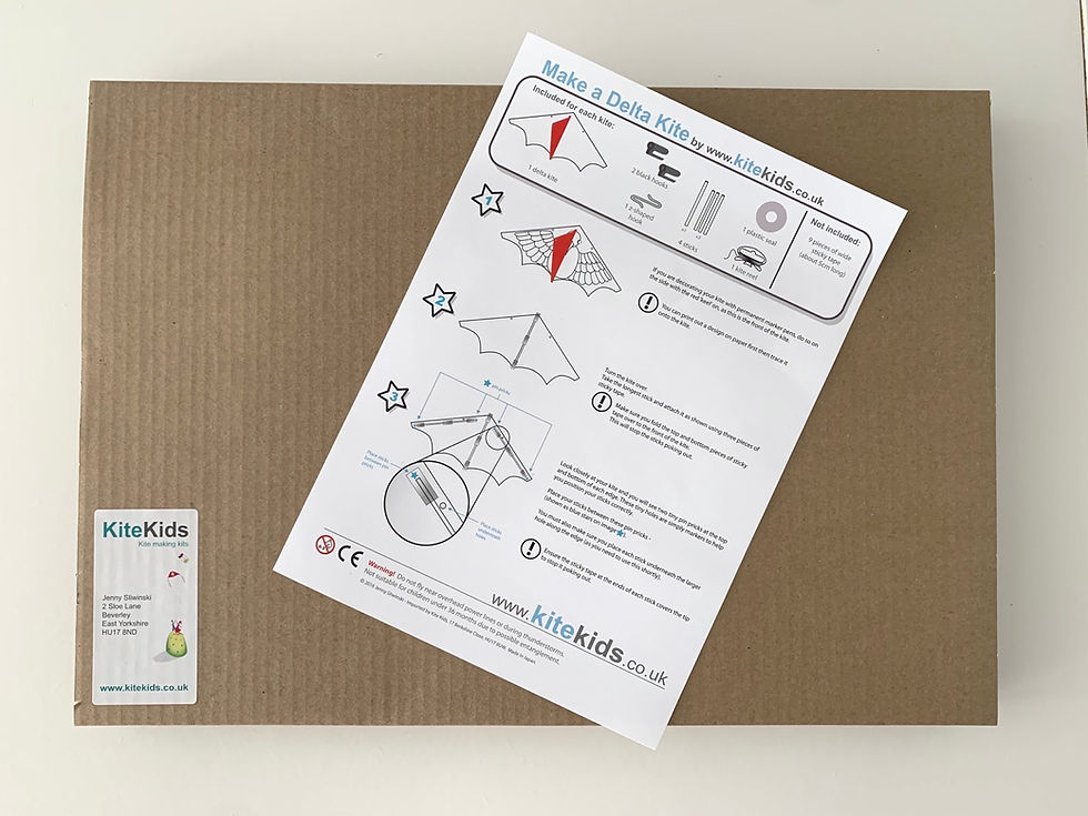 Thumbnail: Delta kite - plain white (3 pack)