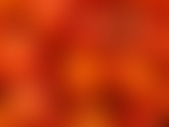 Thanksgiving Can Be a Turkey: Managing Stress and Finding Balance