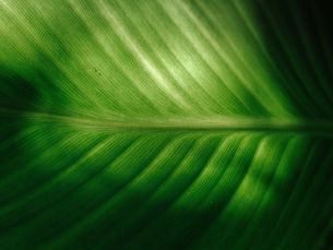 Your Initial Therapy Consultation: What to Expect & How to Find the Right Fit