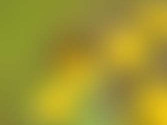 The Quiet Rebellion of Being Here: A Guide to Unstructured Aliveness