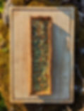 PXL_20220427_173757999.jpg
