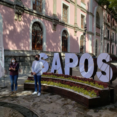 AYUNTAMIENTO Y SEMOVI ENTREGAN REMODELACIÓN DE BARRIO DE LOS SAPOS.