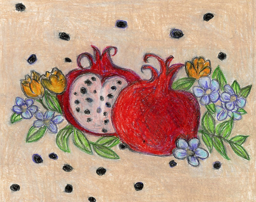 (26-51) Seeds