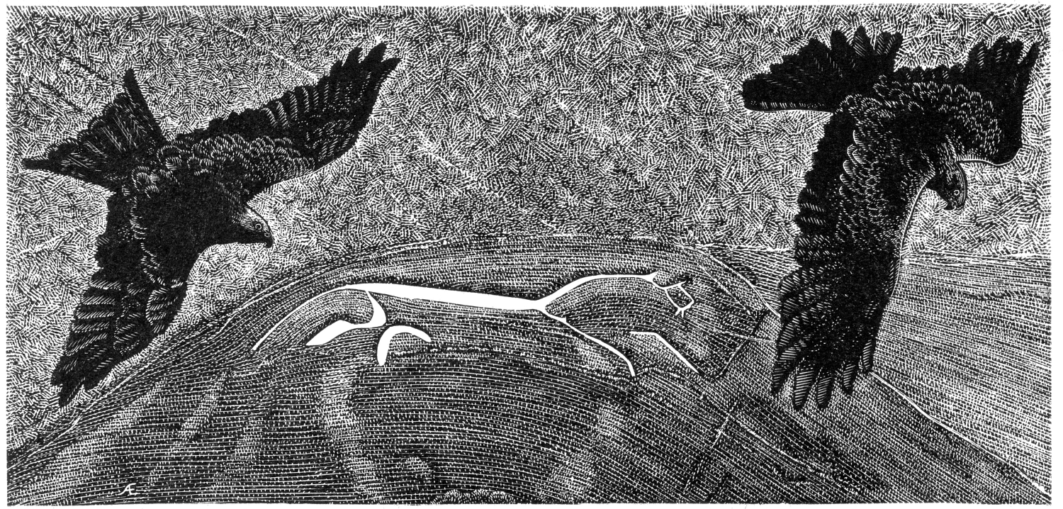 white horse, red kites