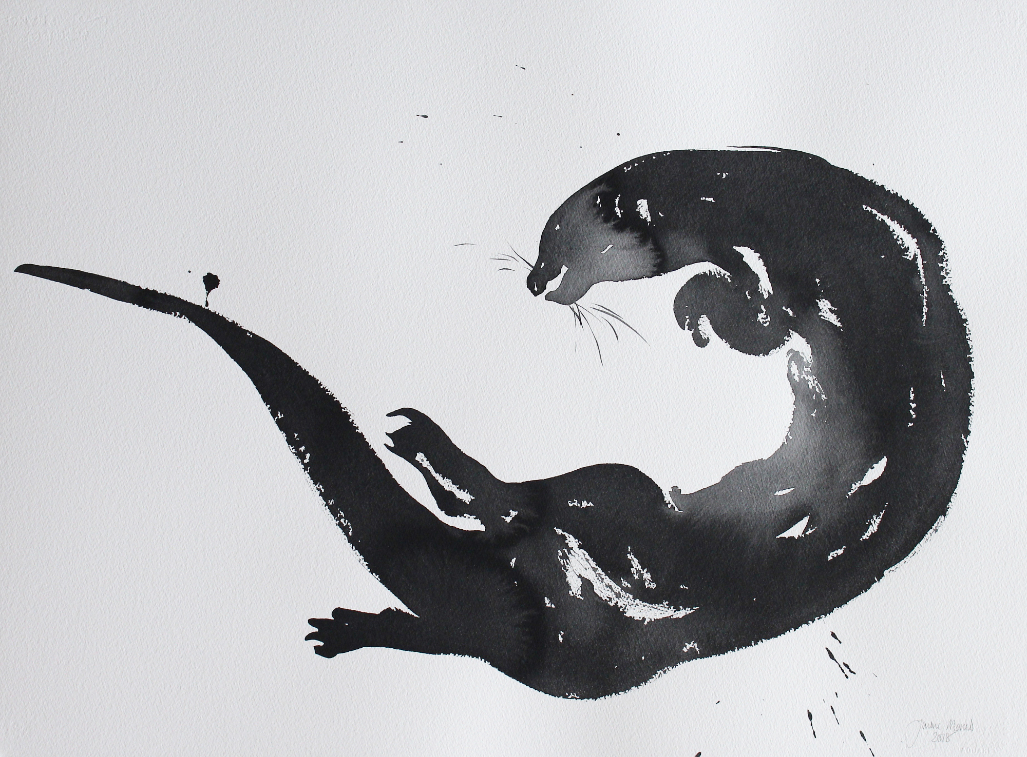 learning the shape of otter I