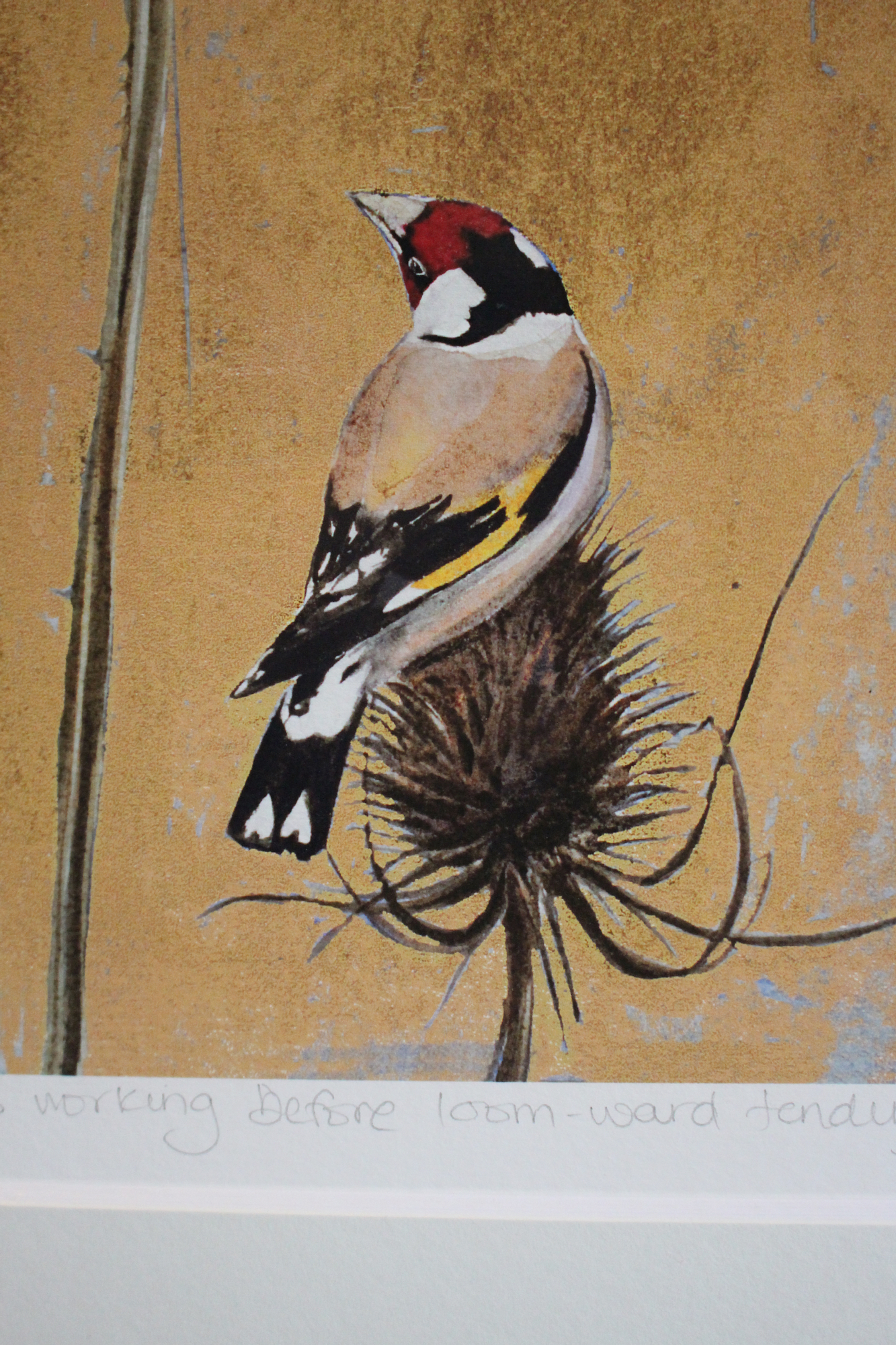 seven quick finches detail