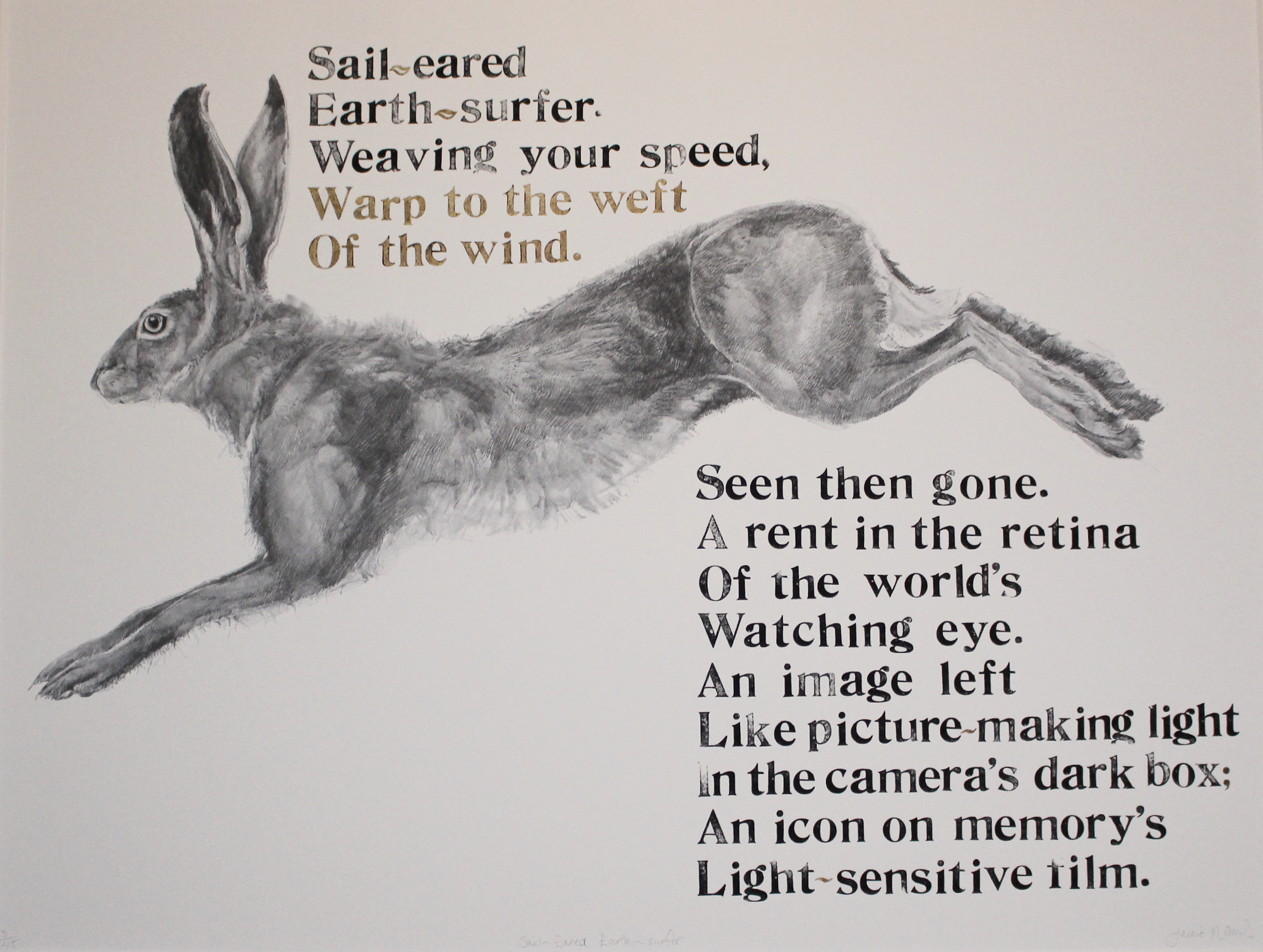 sail - eared earth surfer