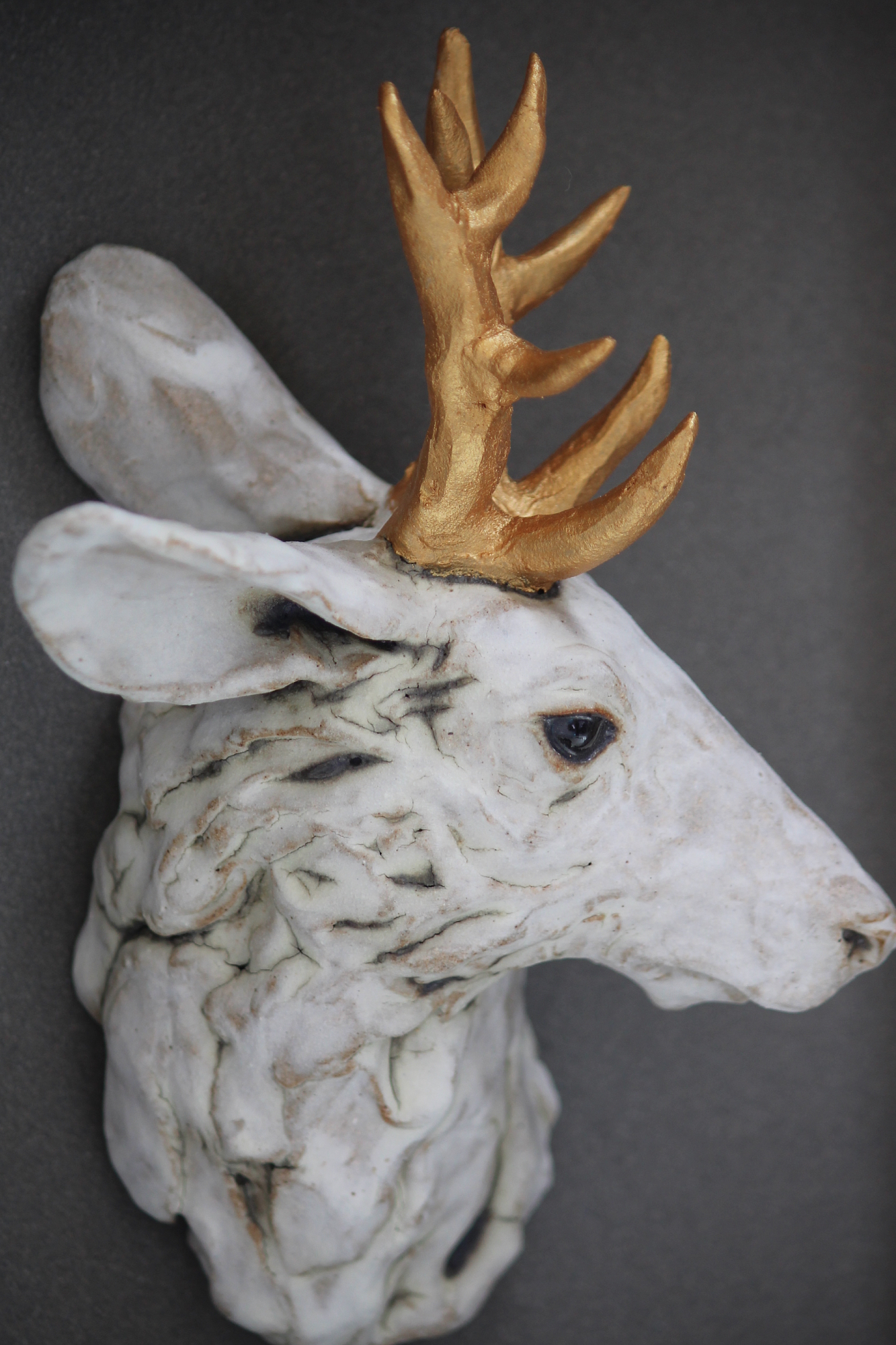 stag with golden antlers