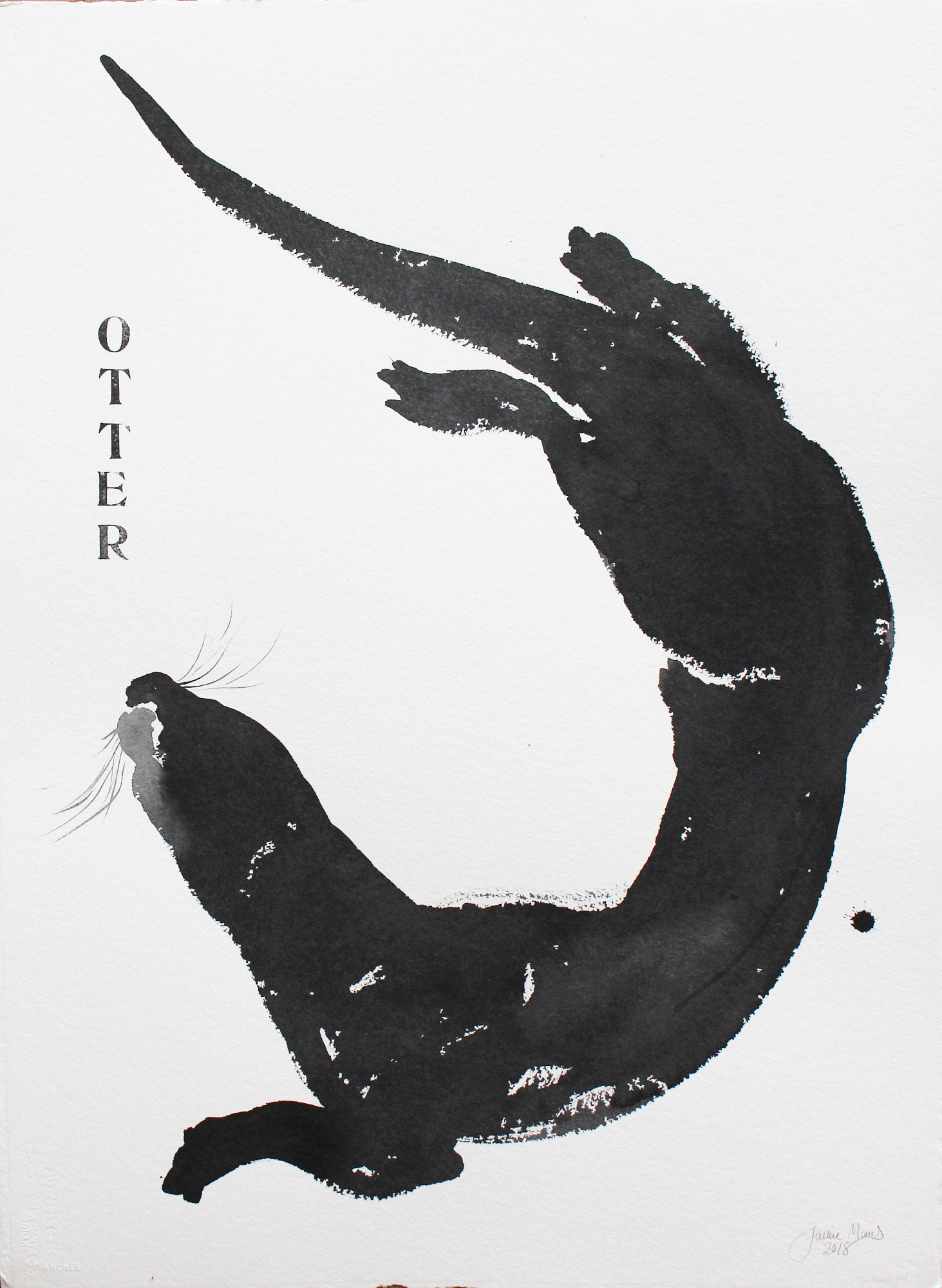 learning the shape of otter 3