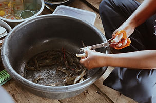 43B61964-CBEA-40F2-800D-21601FDC20A4 2.J