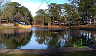 park%203_edited.jpg
