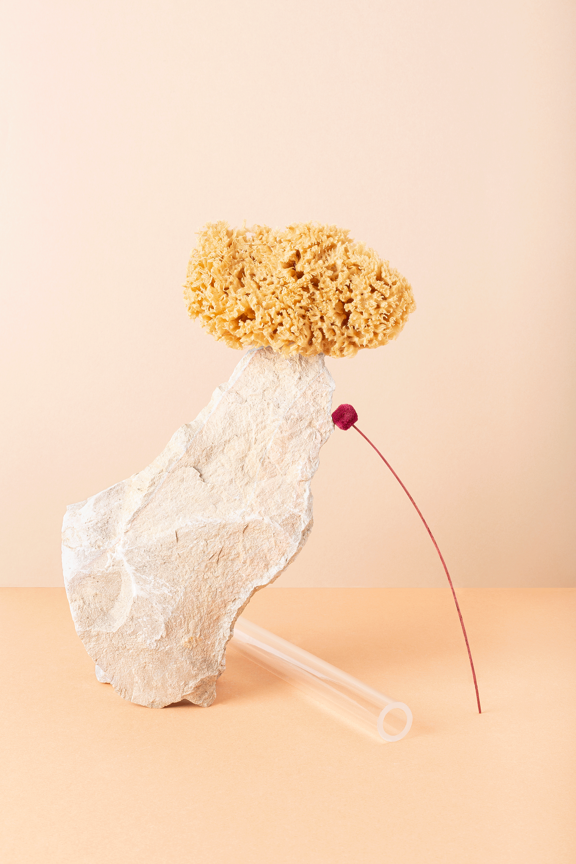 Fragile_Balance2000-1.gif