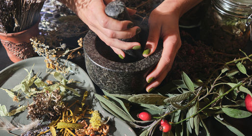 ホリスティックハーブアドバイザー検定