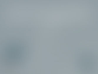 Mastering Business Chaos