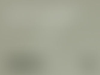 Beyond the Blueprint