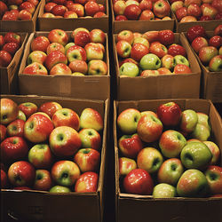Apples