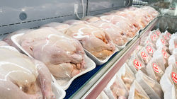 Poultry