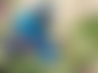 ABIDING IN CHRIST (15:1-7)