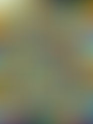 GOLF IMPROVEMENT - OWNING A NEW SKILL