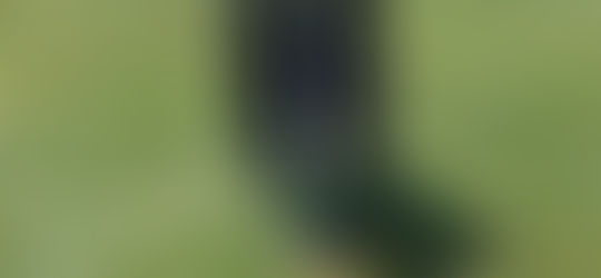 CONSISTENCY - BASIC SET-UP ROUTINE