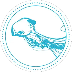 Jellyfish Restaurant HiddenTable Partner