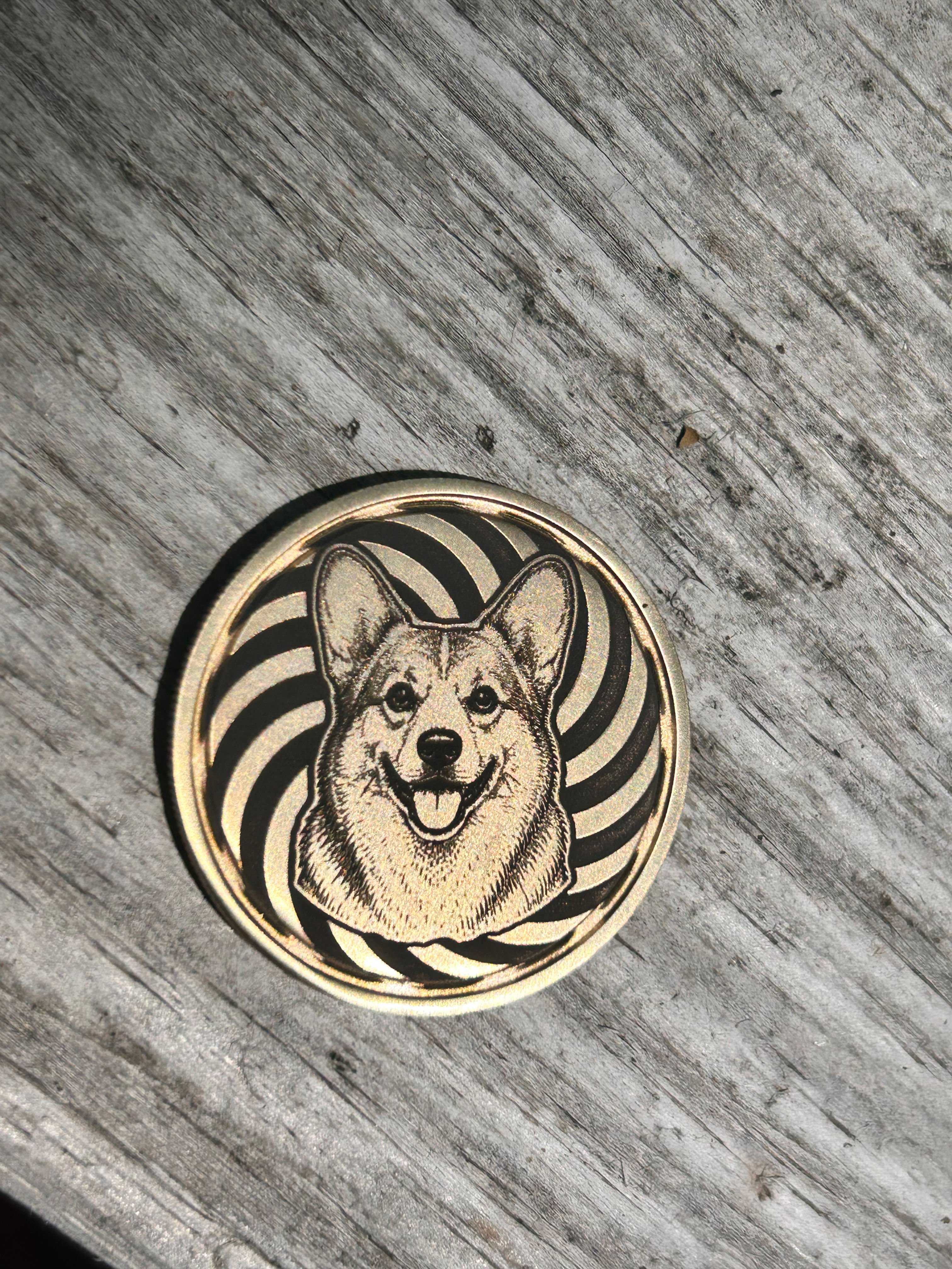 Heads or Tails? - Corgi Edition