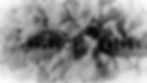 aunica_edited_edited.jpg