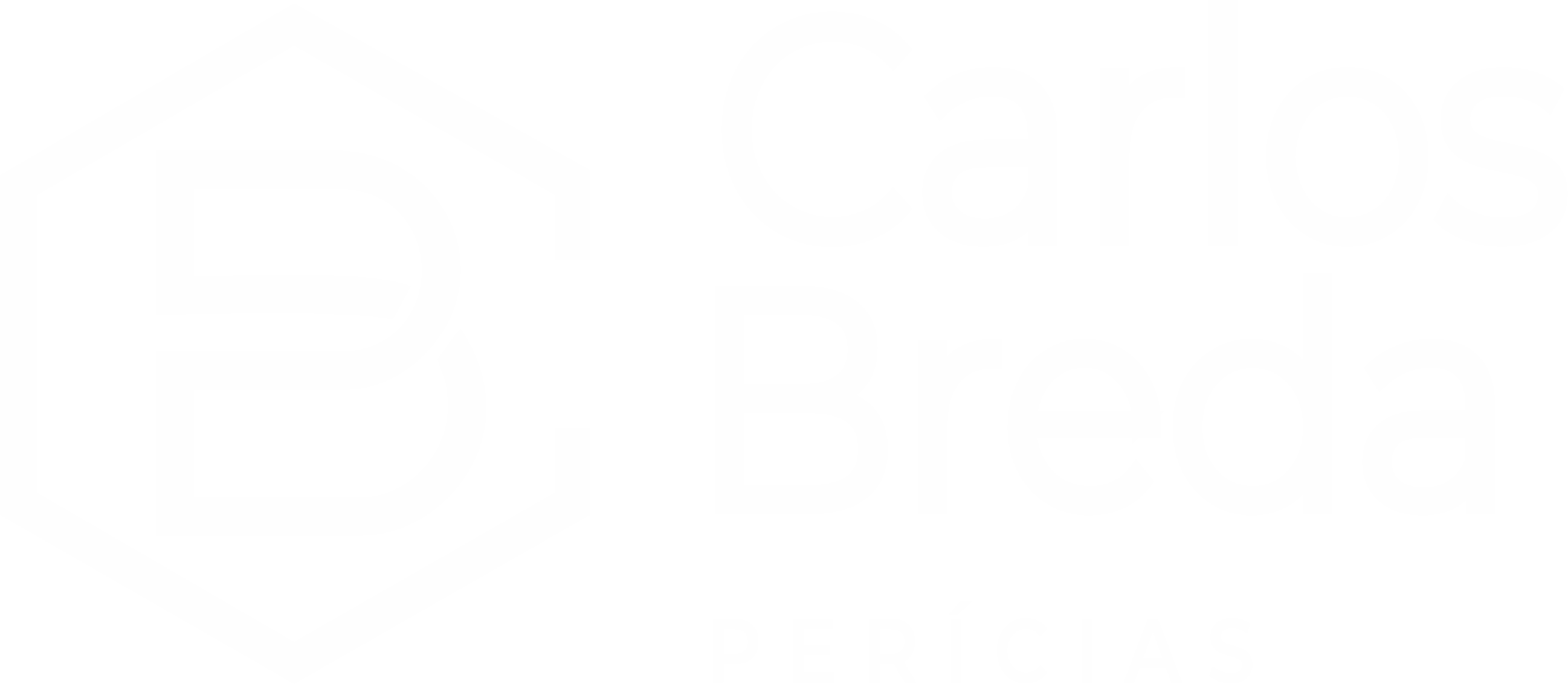 Carlos Breda Branco.png