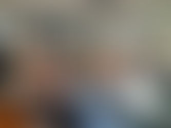 COMISSÃO DE REFORMA ESTATUTÁRIA REINICIA OS TRABALHOS 