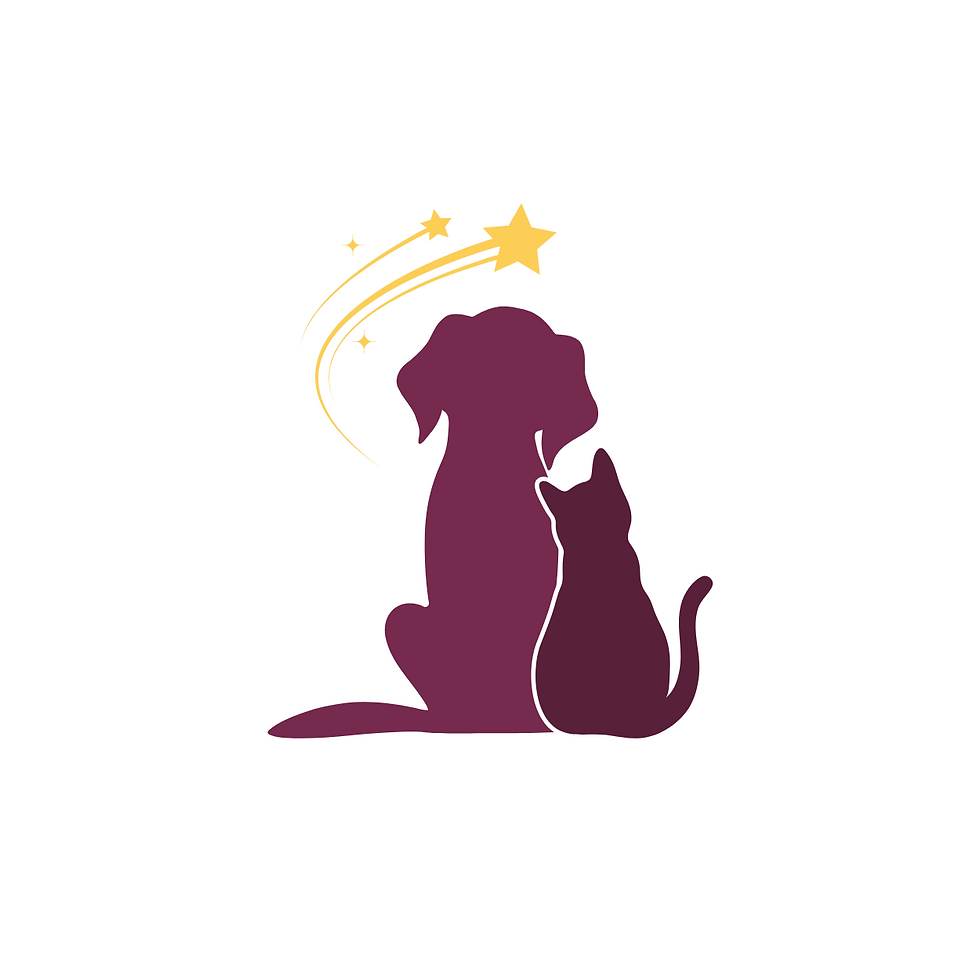 Evenstar Charitable Association