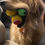 Thumbnail: Sugar